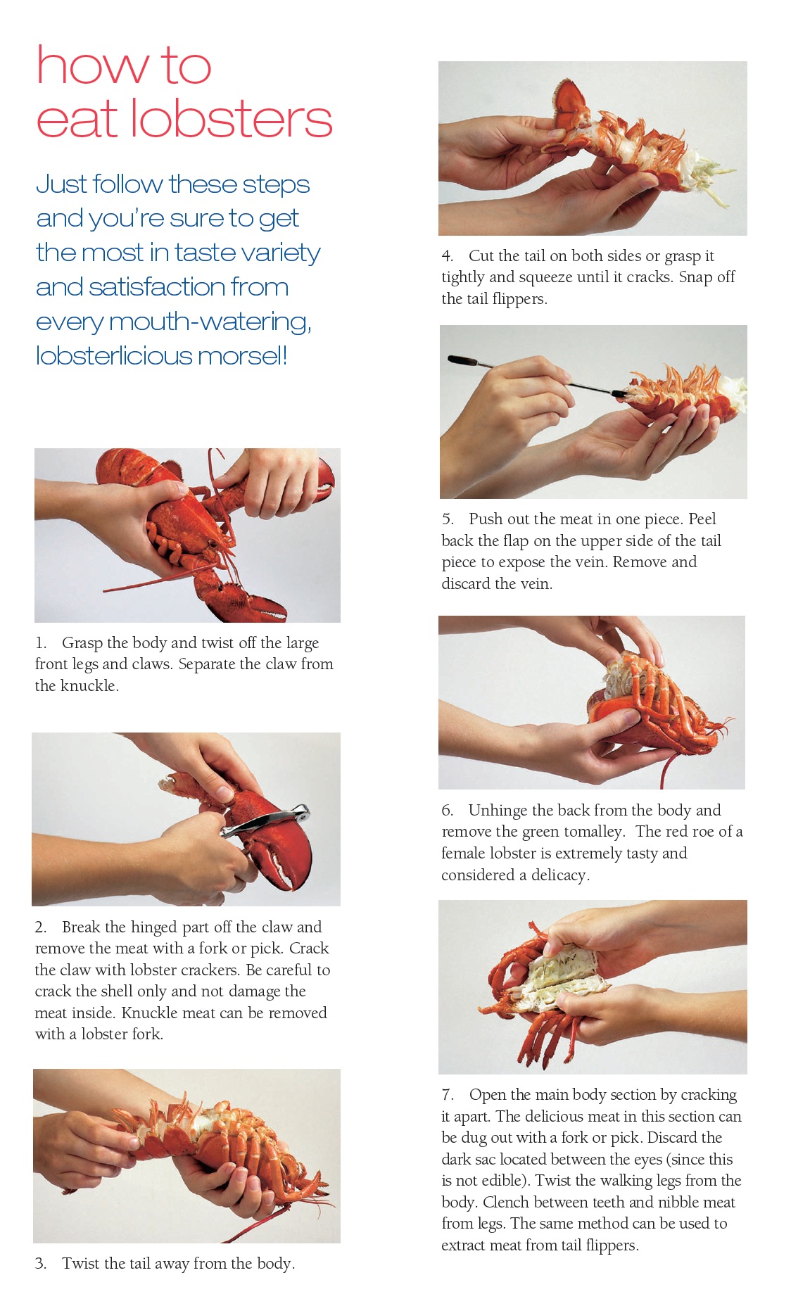 Live Lobster Clearwater