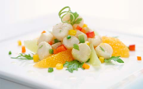 scallops argentine clearwater