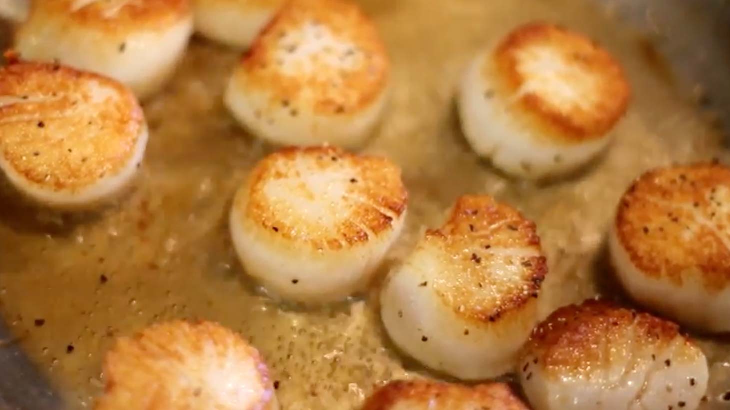 Seared Sea Scallops Clearwater
