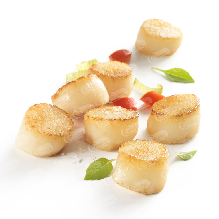 Patagonian Scallops Clearwater